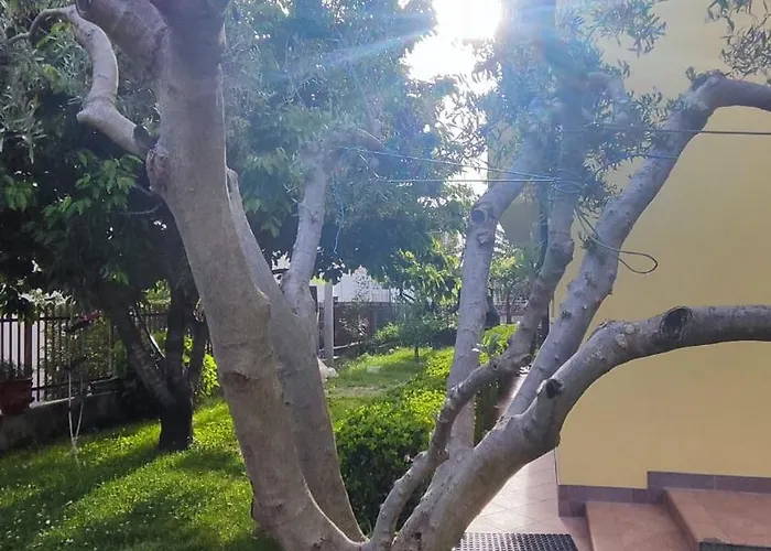 Daire Casa Serendipity